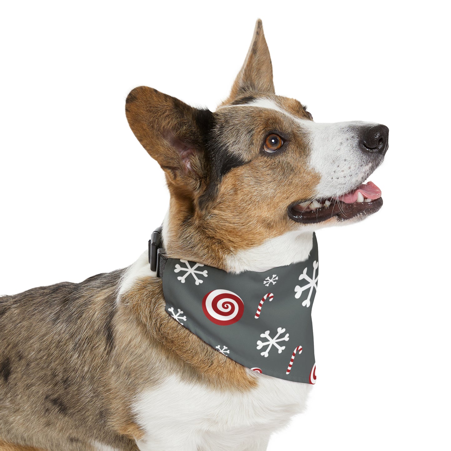 Candy Cane Collar Bandana ~ Charcoal