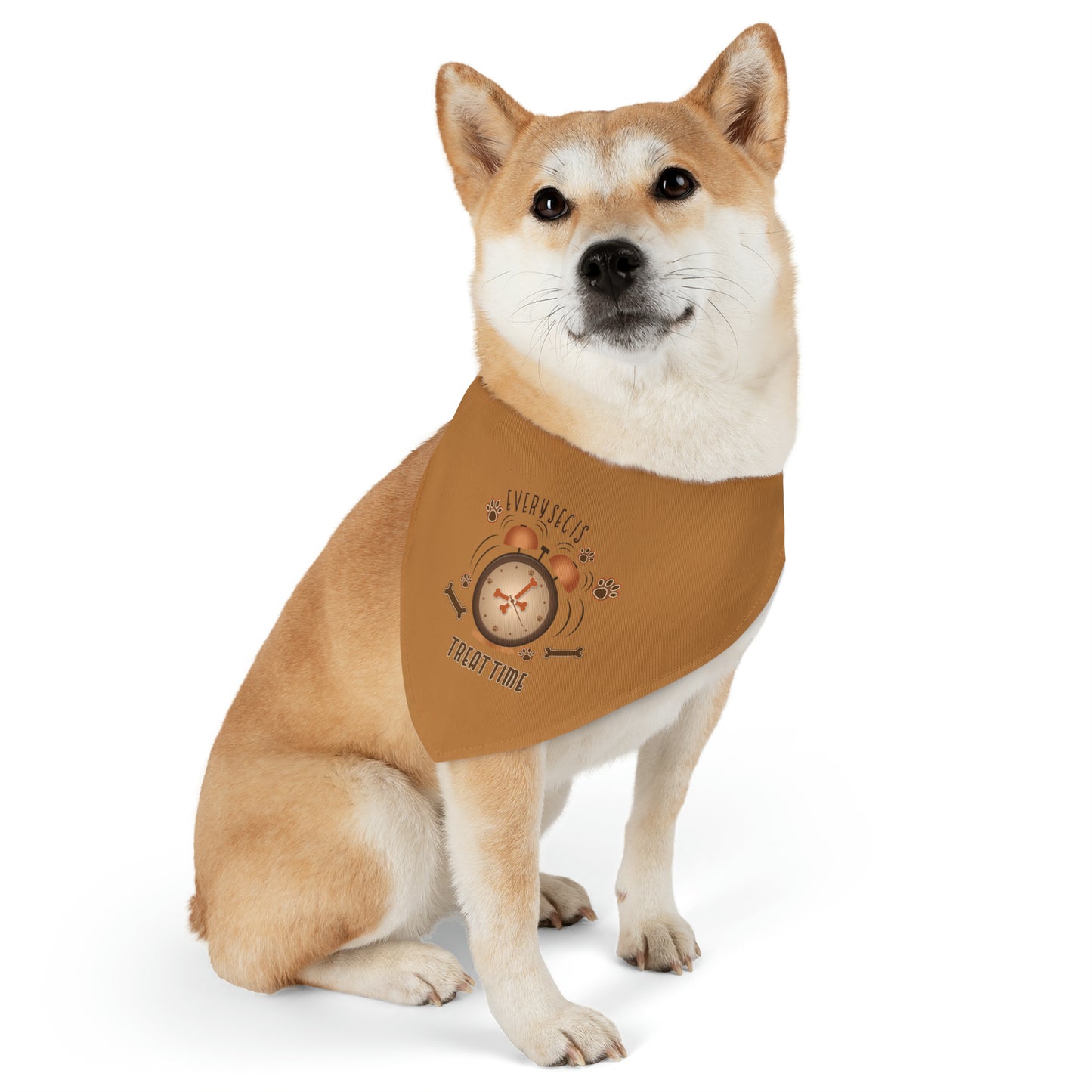 Every Sec is Treat Time Pet Bandana Collar