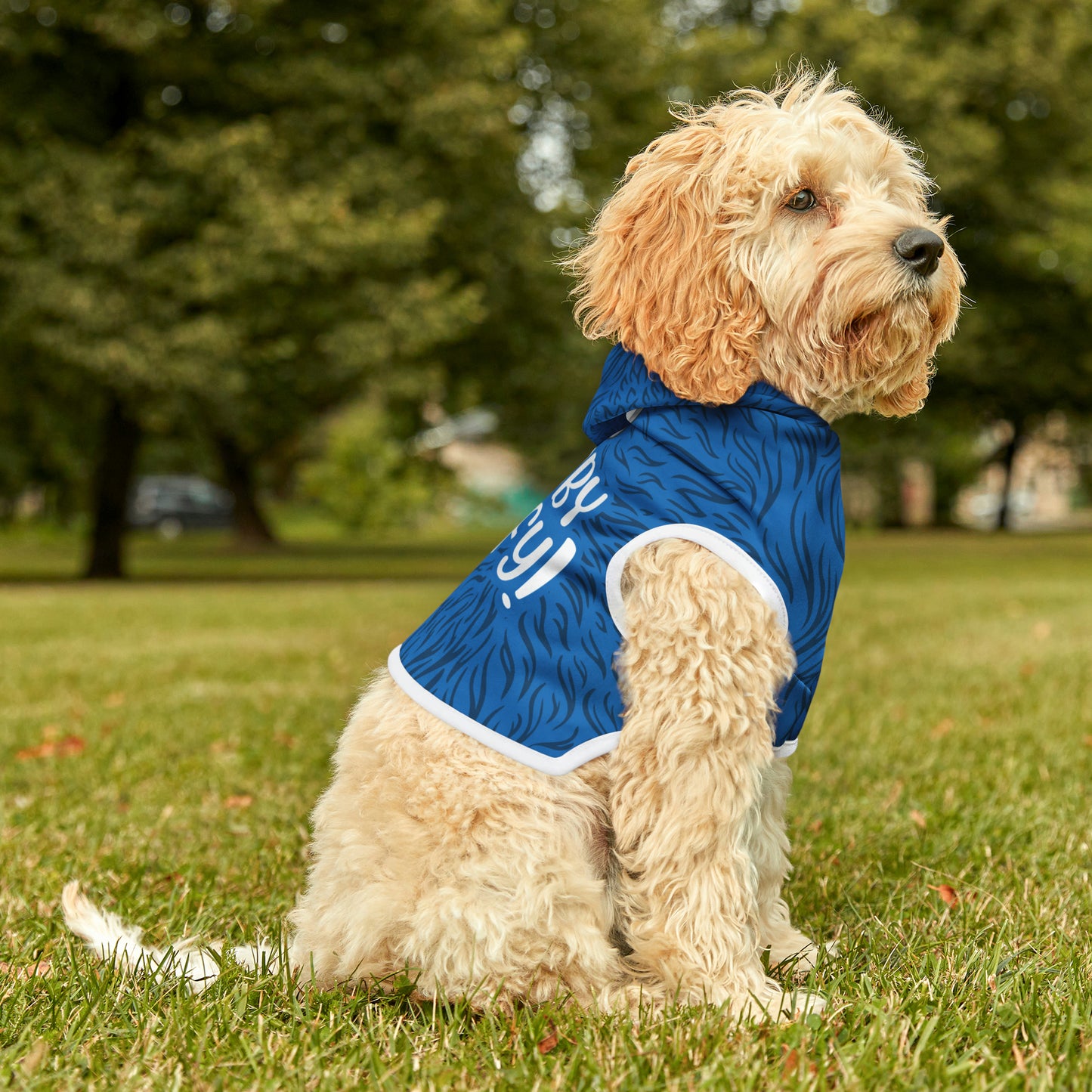 I'm Not Tubby, I'm Fluffy BLUE Pet Hoodie