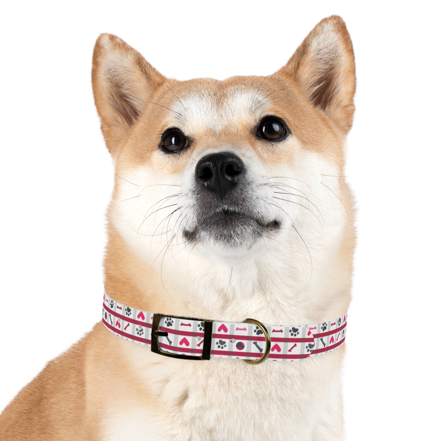 Let's Play Dog Collar