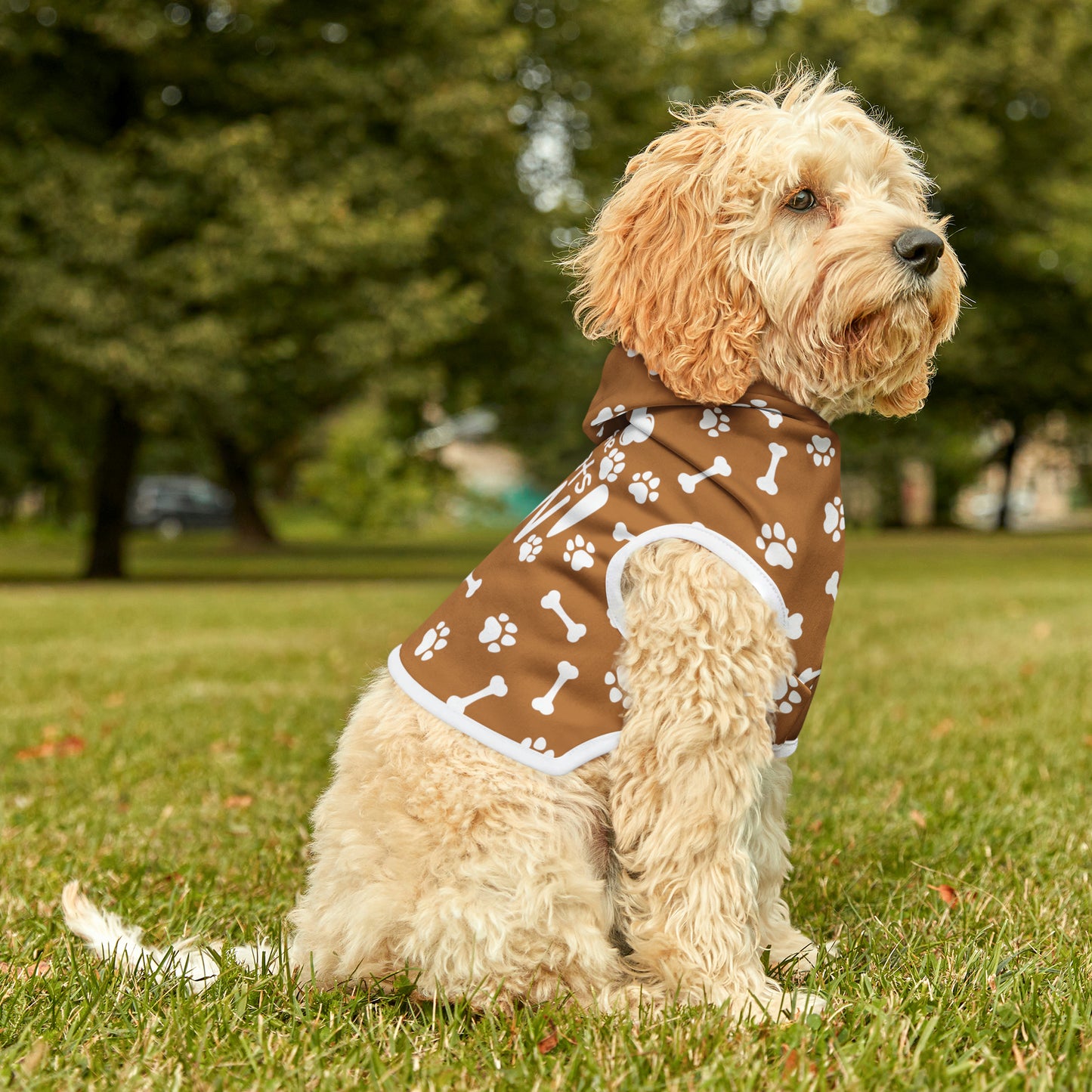 Spill the Treats Lt. BROWN Pet Hoodie