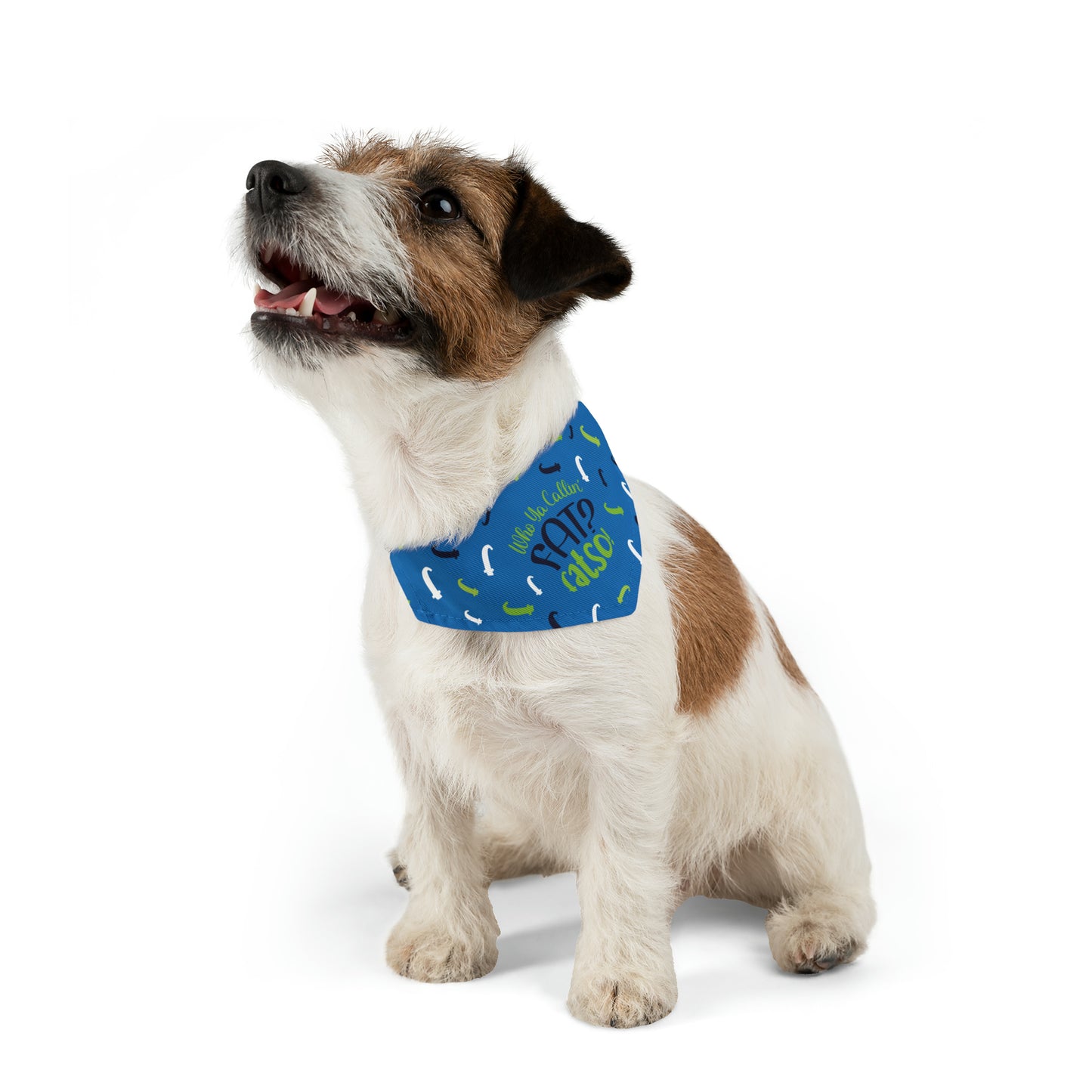 Who Ya Callin' Fat Blue Pet Bandana Collar