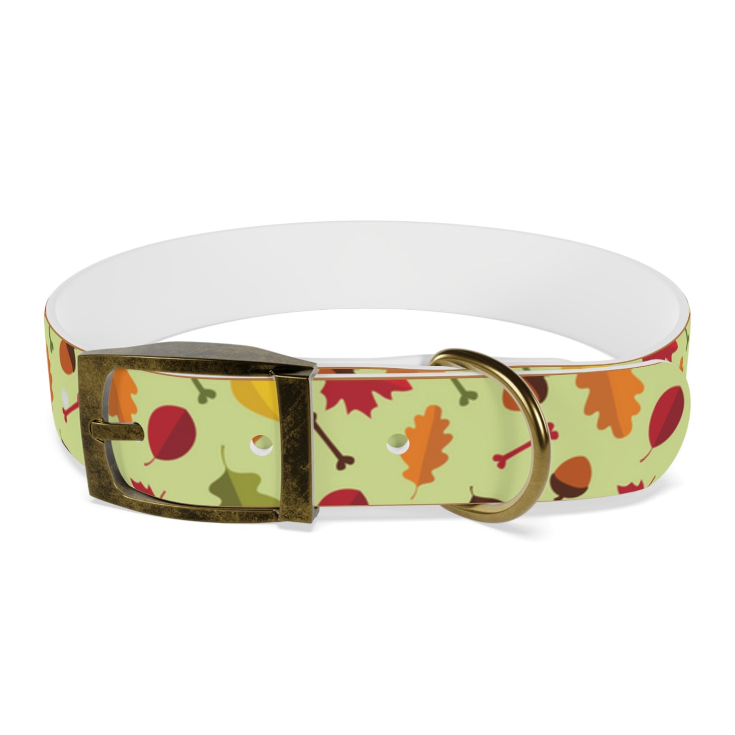 Color Me Fall Dog Collar