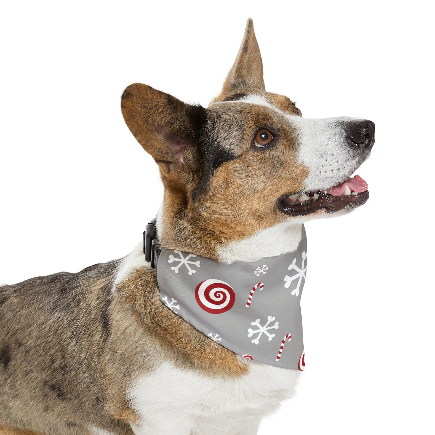 Candy Cane Collar Bandana