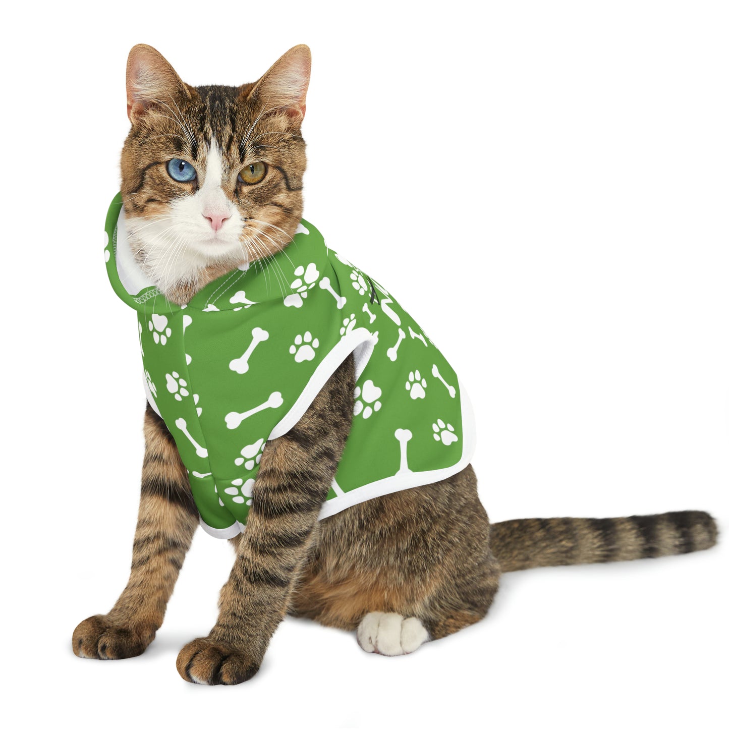 Spill the Treats Green Pet Hoodie