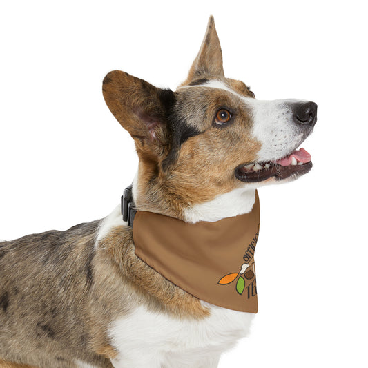 Official Turkey Tester Tan Pet Bandana Collar