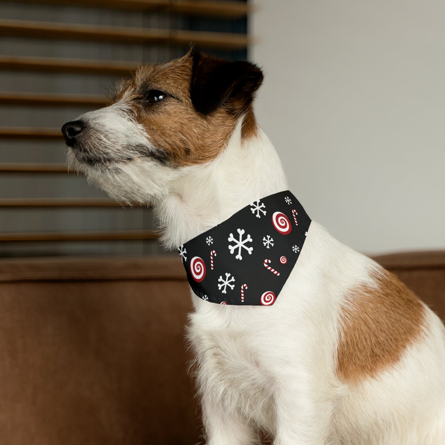 Candy Cane Collar Bandana ~ Black