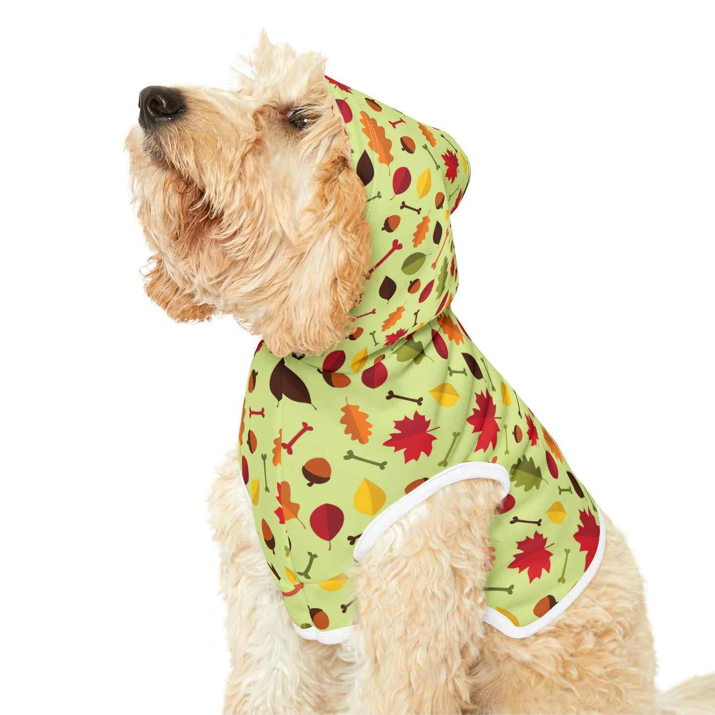 Color Me Fall Pet Hoodie