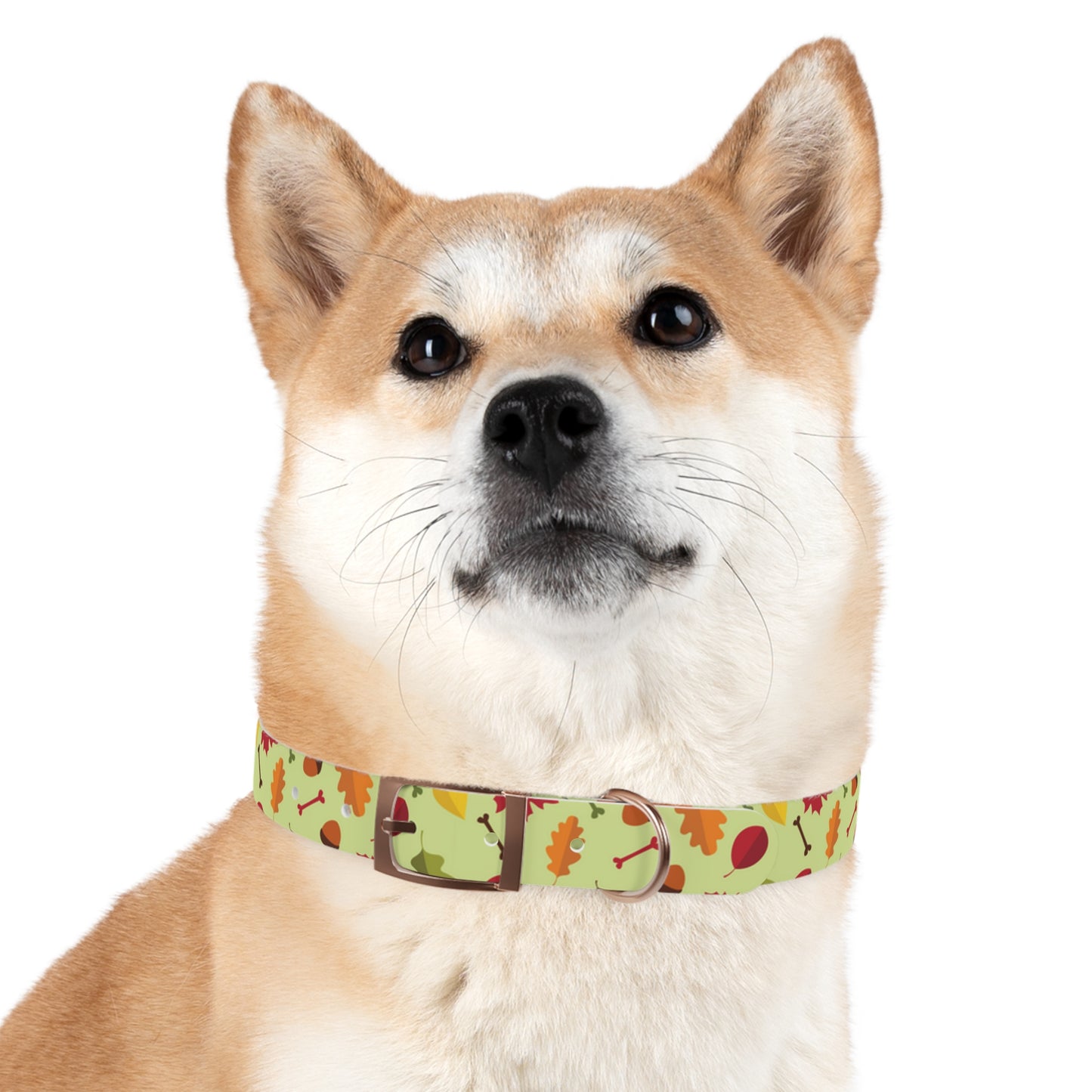 Color Me Fall Dog Collar