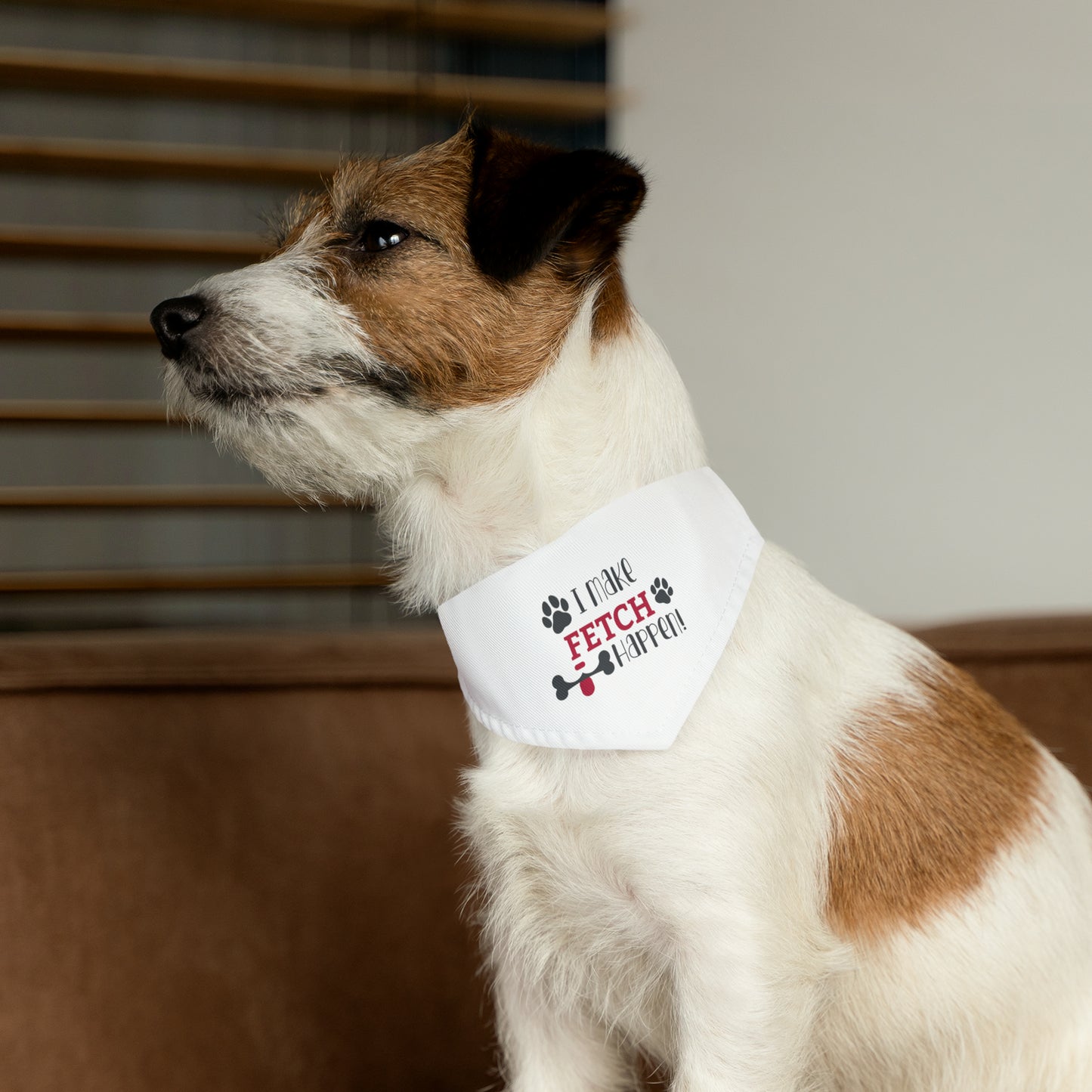 Spill the Treats - Pet Bandana Collar