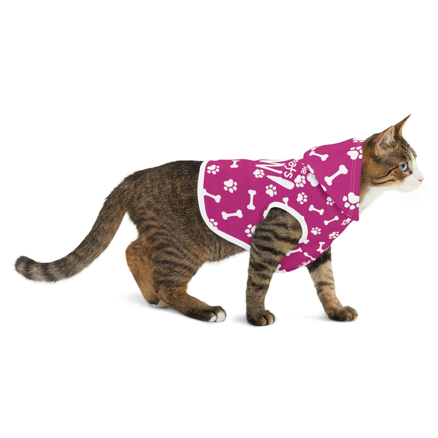 Spill the Treats Fuchsia Pet Hoodie