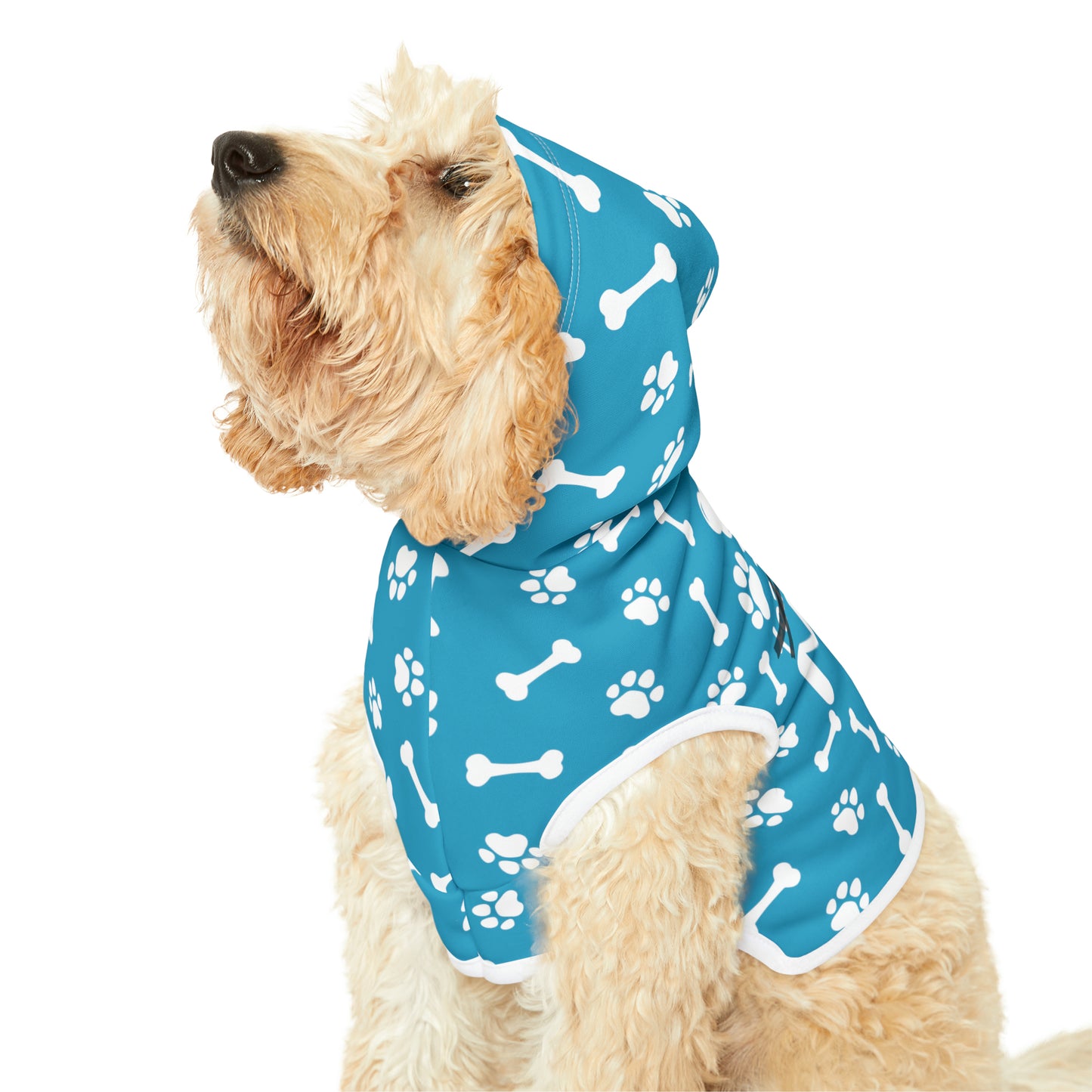 Spill the Treats Turquoise Pet Hoodie