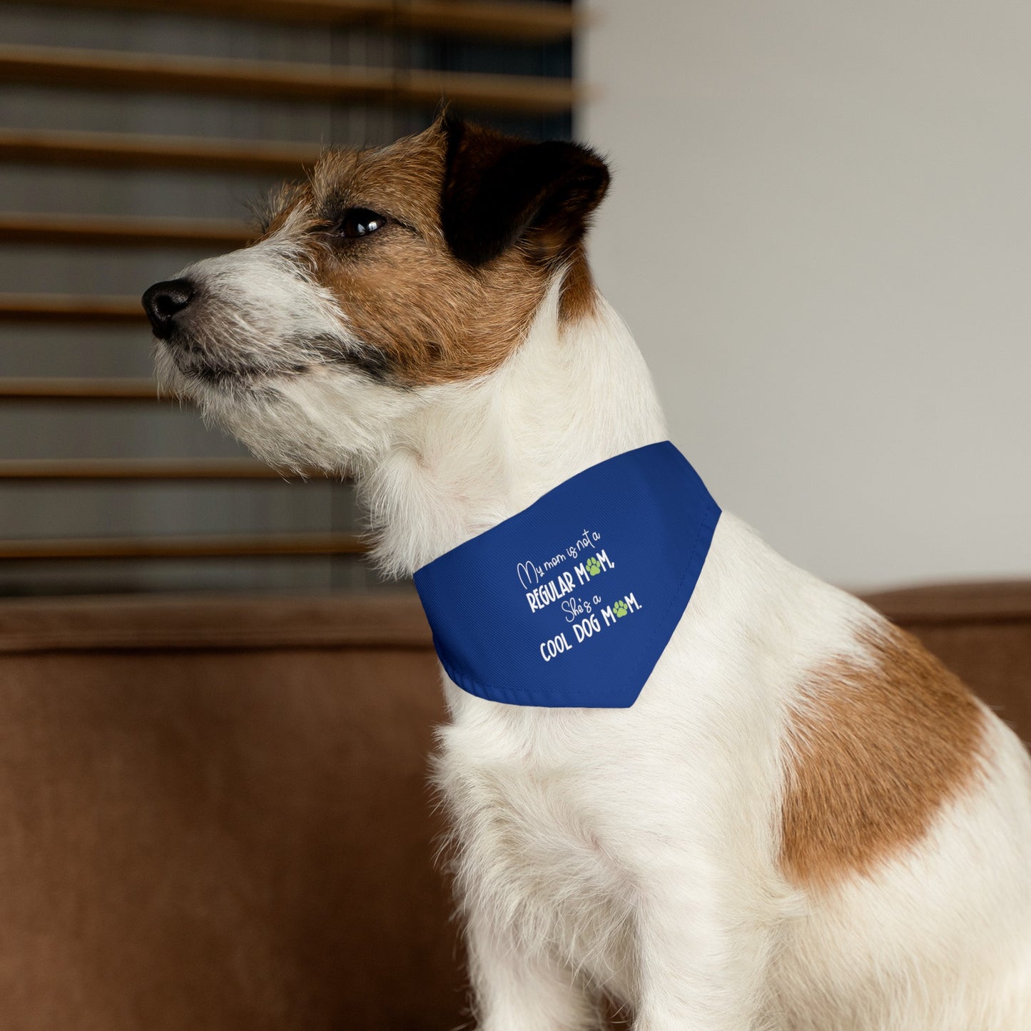 Blue Cool-Mom Bandana Collar