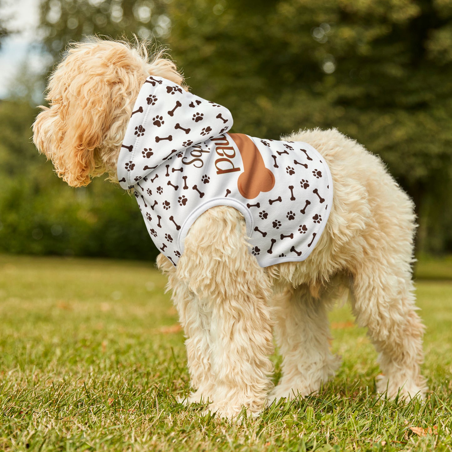 Squirrel Pawtrol Pet Hoodie