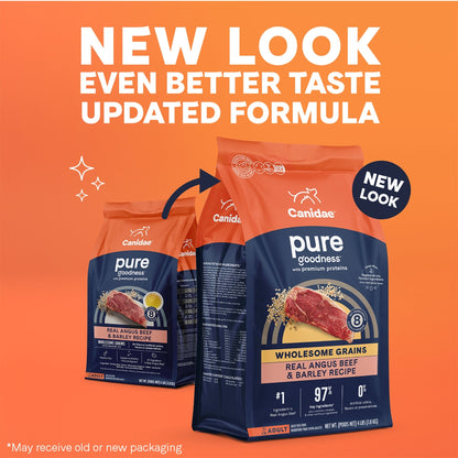 CANIDAE PURE Goodness w/Wholesome Grains Dry Dog Food Beef & Barley 22lb