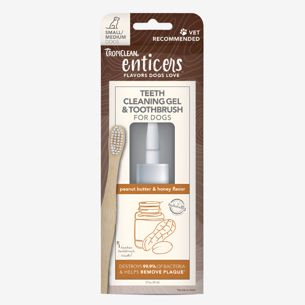 TropiClean Enticers Teeth Cleaning Gel & Toothbrush for Dogs Peanut Butter & Honey 1ea/2 oz, SM/MD