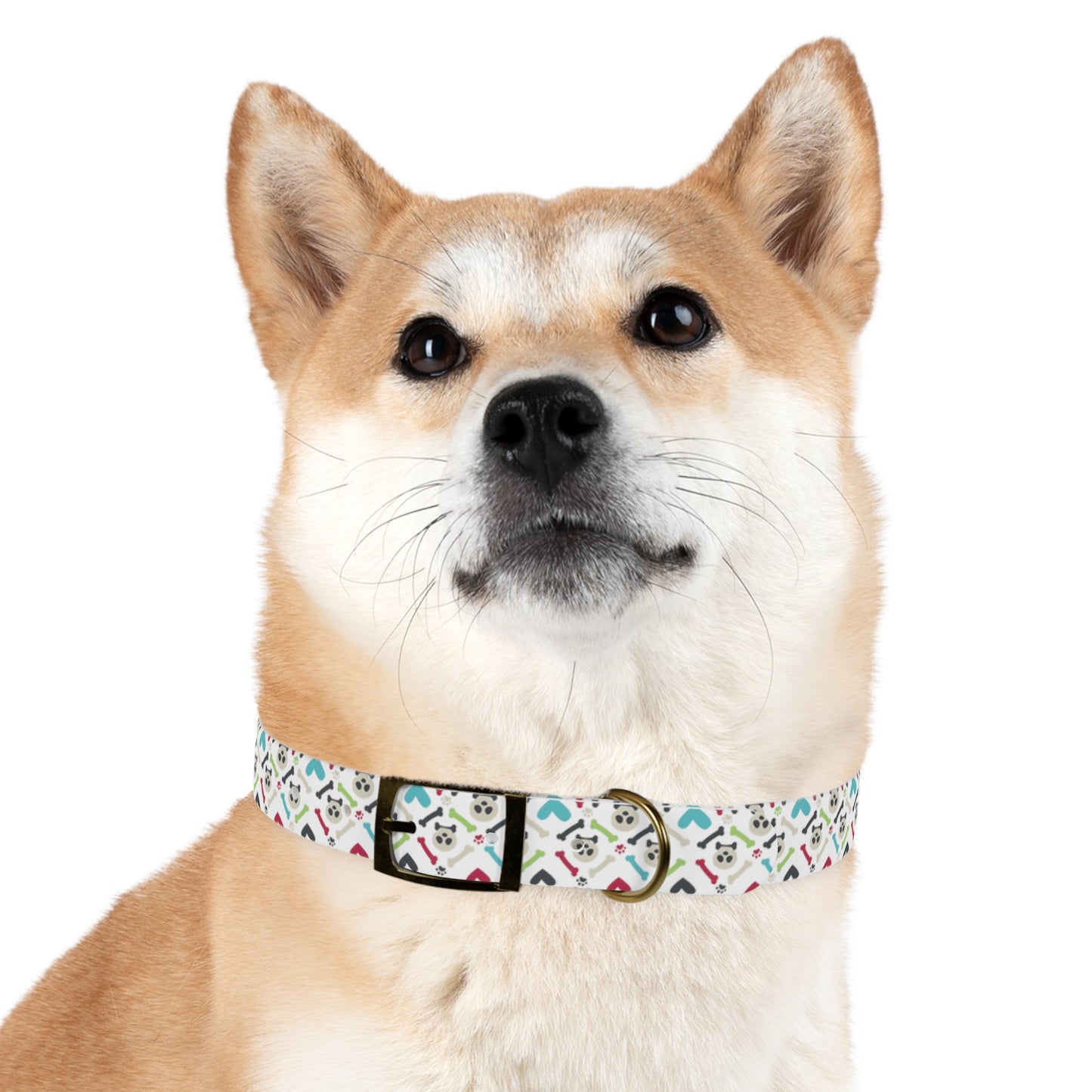 Bones Dog Collar