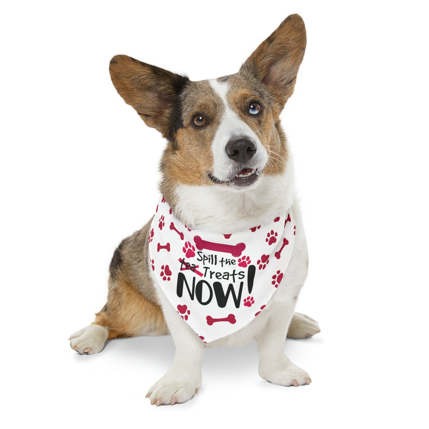 Spill the Treats - Pet Bandana Collar