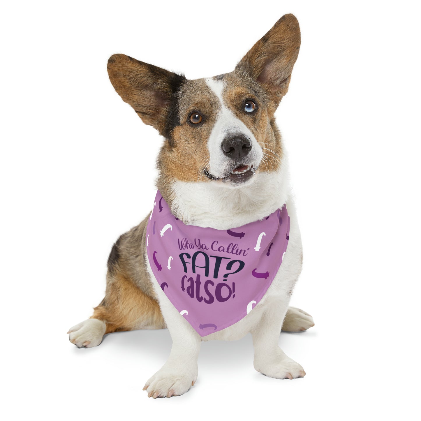 Who Ya Callin' Fat Purple Pet Bandana Collar