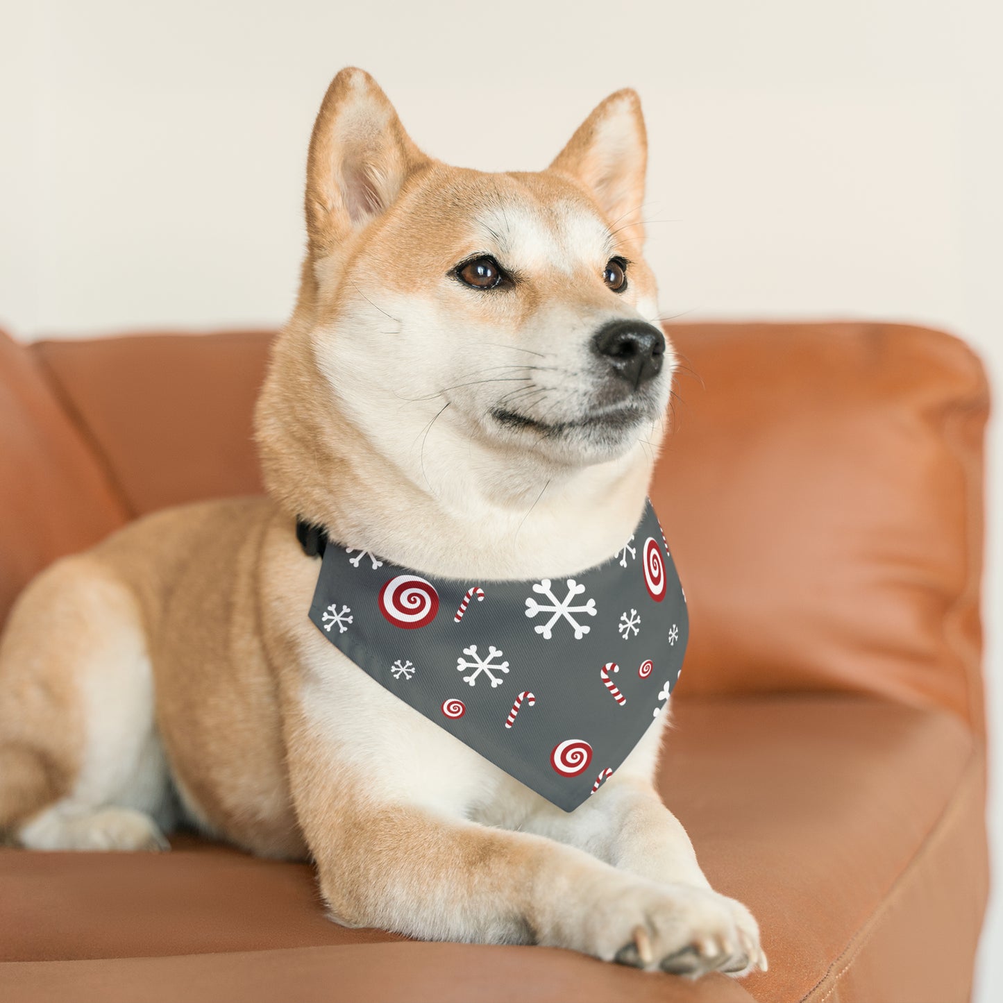 Candy Cane Collar Bandana ~ Charcoal