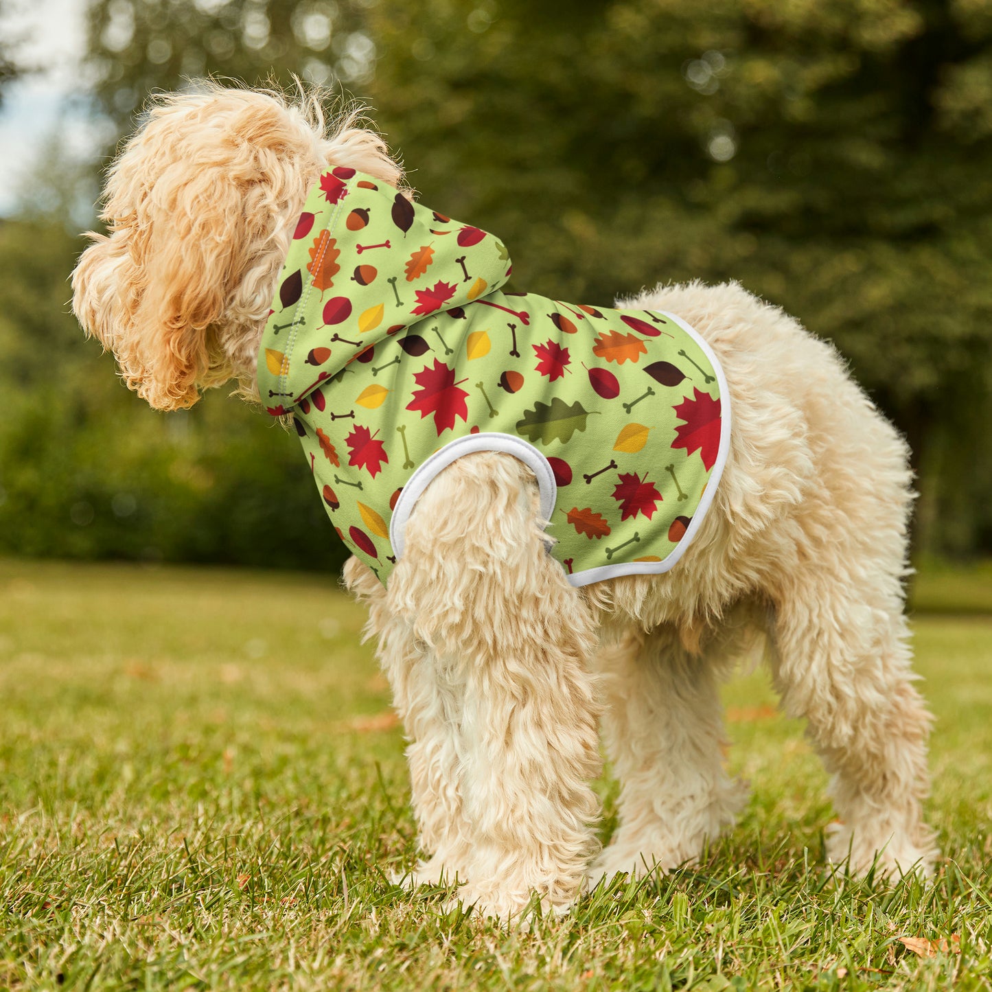 Color Me Fall Pet Hoodie