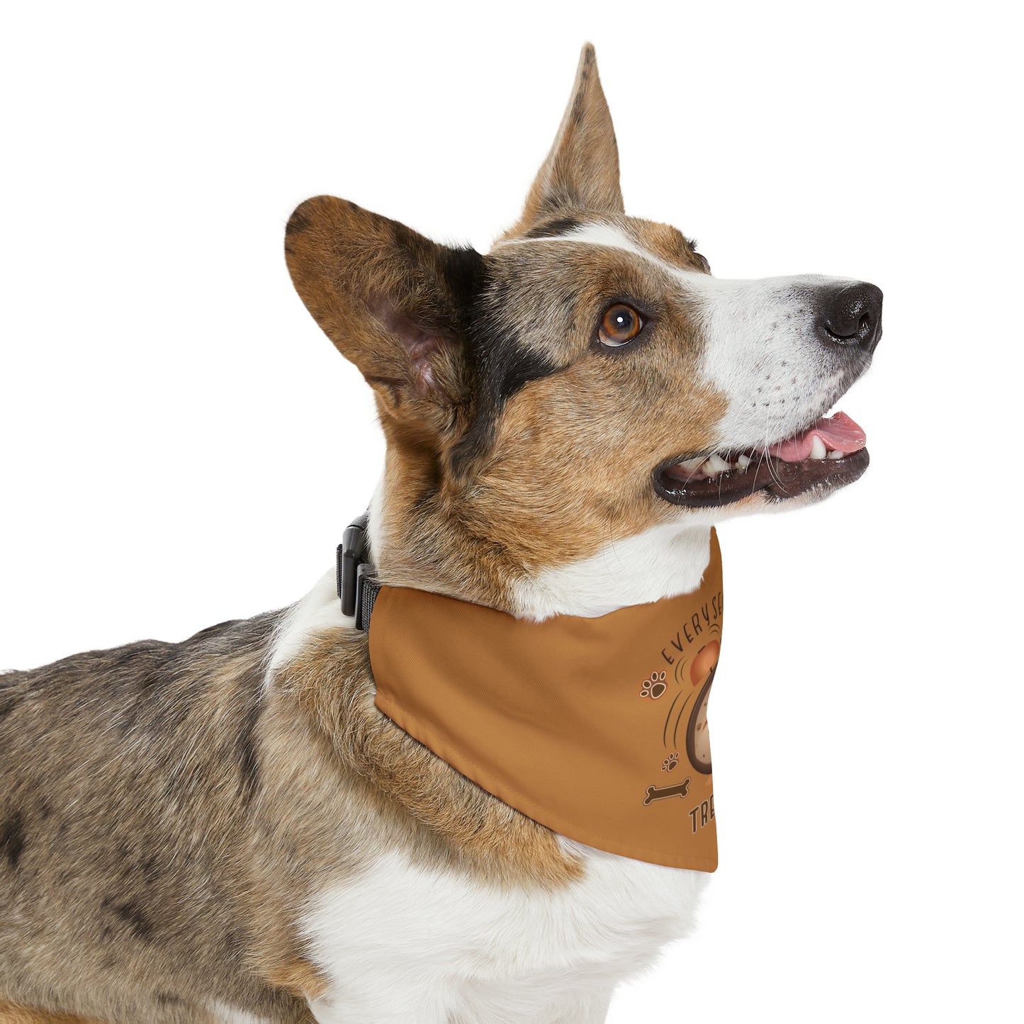 Every Sec is Treat Time Pet Bandana Collar