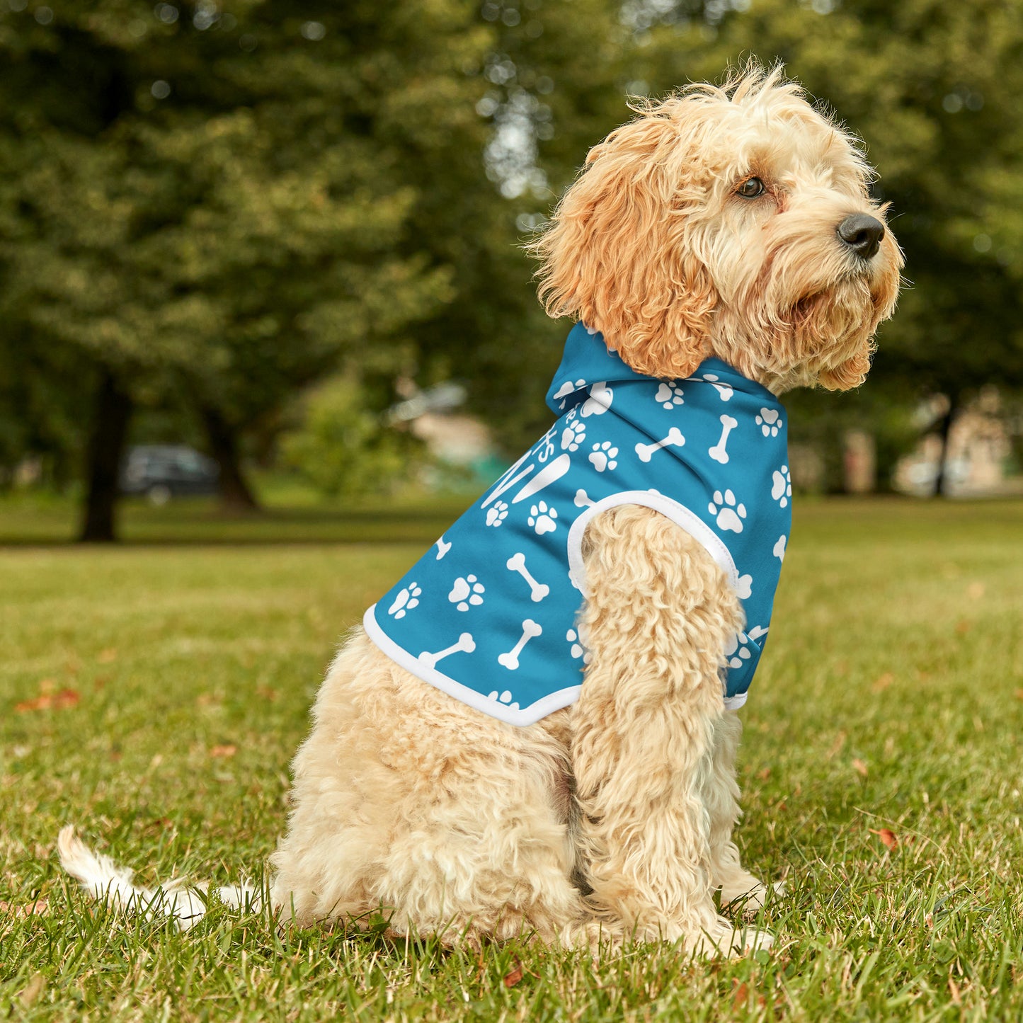 Spill the Treats Turquoise Pet Hoodie