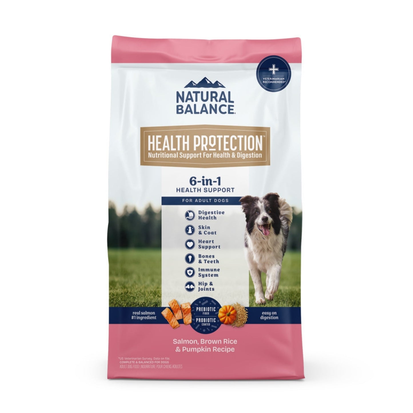 Natural Balance Pet Foods Health Protection Dry Dog Food Salmon, Brown Rice & Pumpkin 4lb