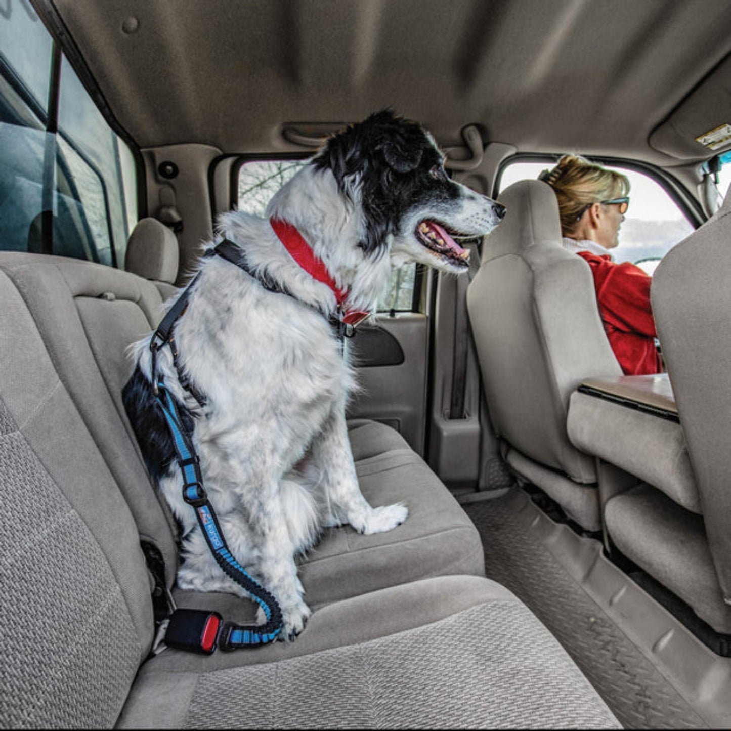 Kurgo Dog Seat Belt Bungee Tether