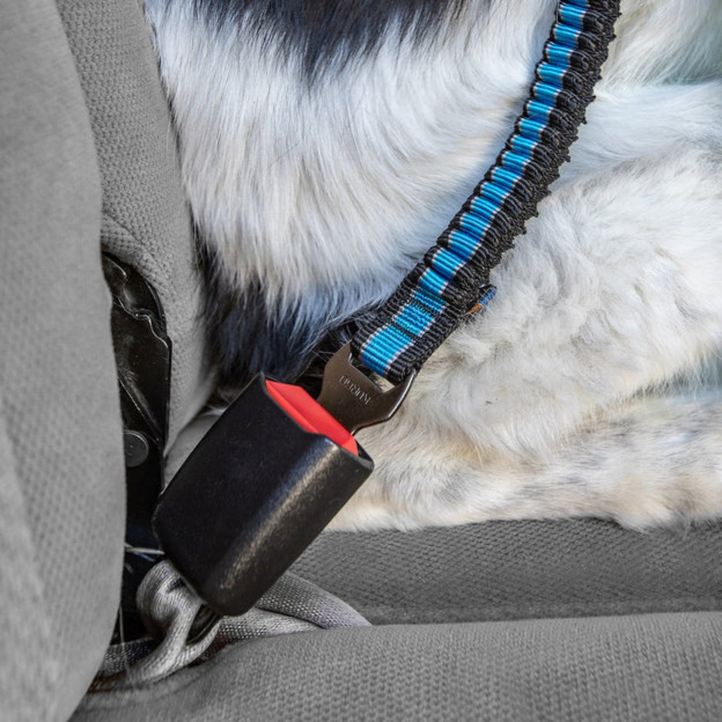 Kurgo Dog Seat Belt Bungee Tether