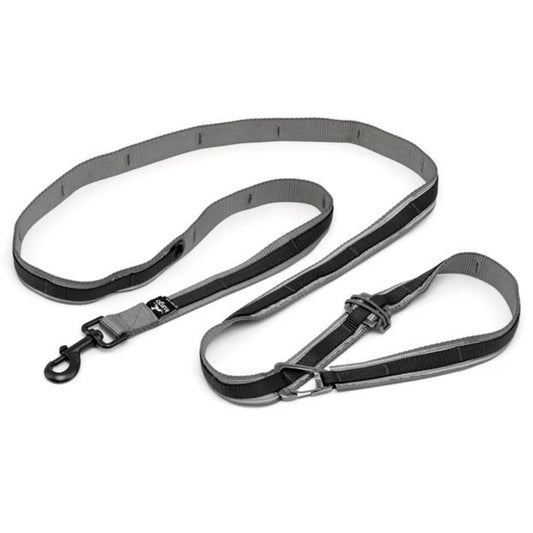 Kurgo Dog Quantum Leash Black