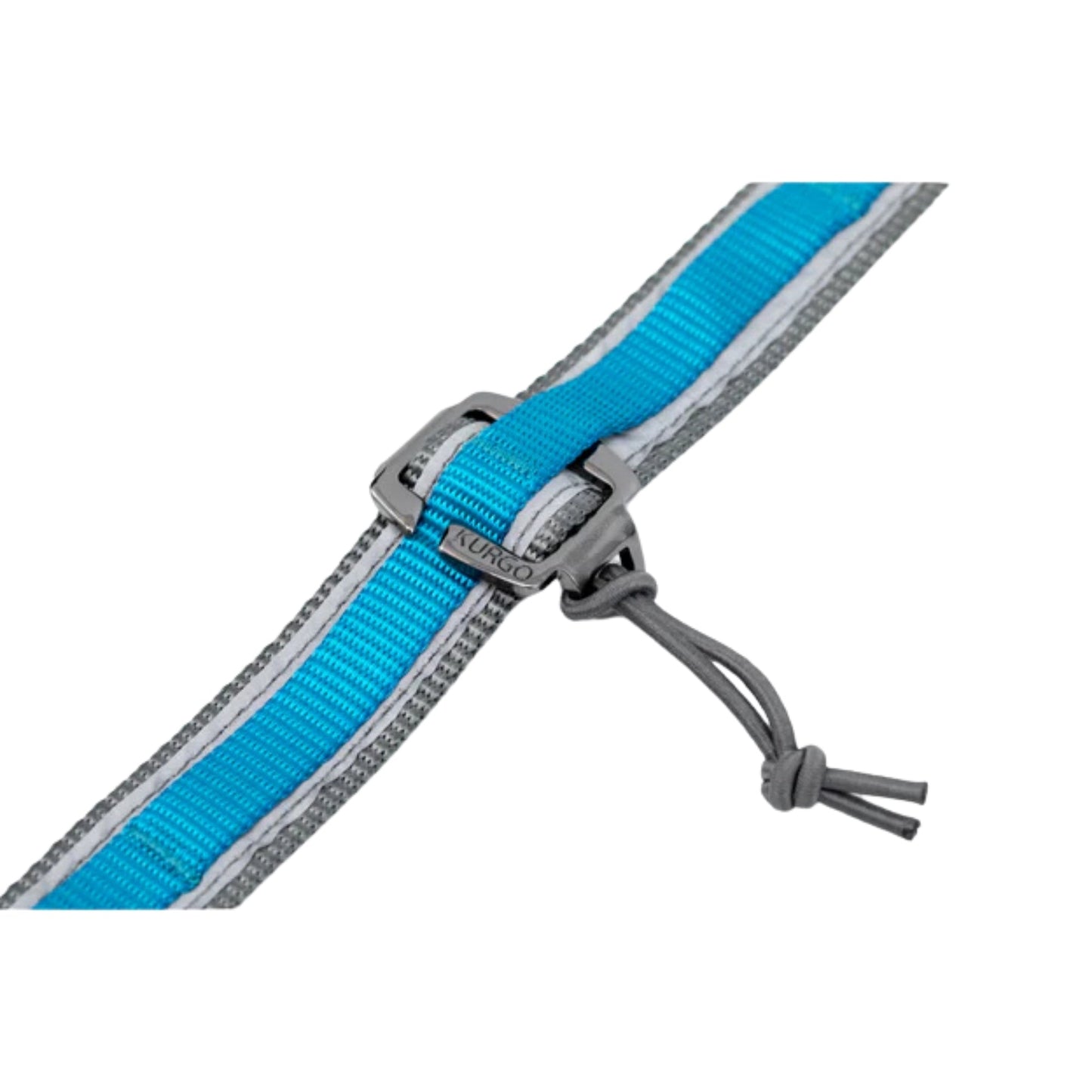Kurgo Dog Quantum Leash Violet