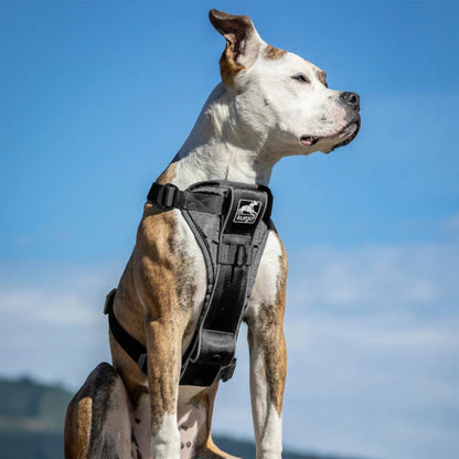 Kurgo Dog Tru Fit Smart Harness Black Medium