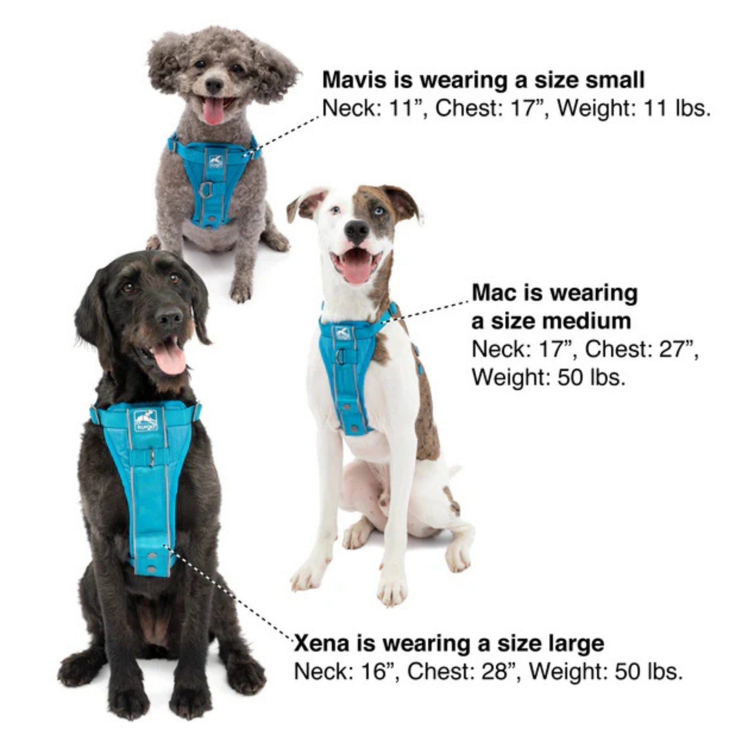 Kurgo Dog Tru Fit Smart Harness Black Medium