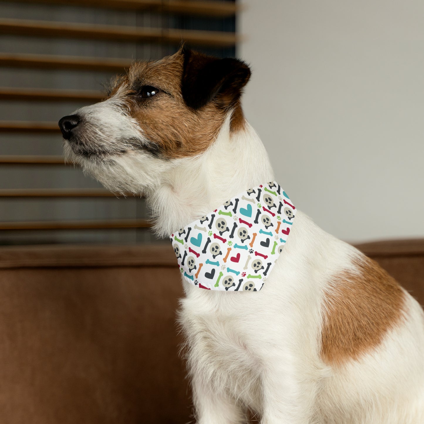 Bones Bandana Collar