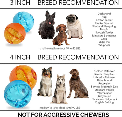 OurPets IQ Treat Dispensing Ball Dog Toy LG