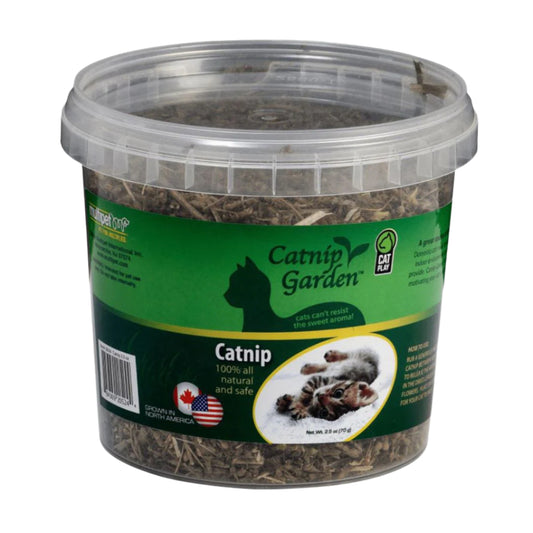Multipet Catnip Garden North American Catnip Sealed Cup 2.5oz