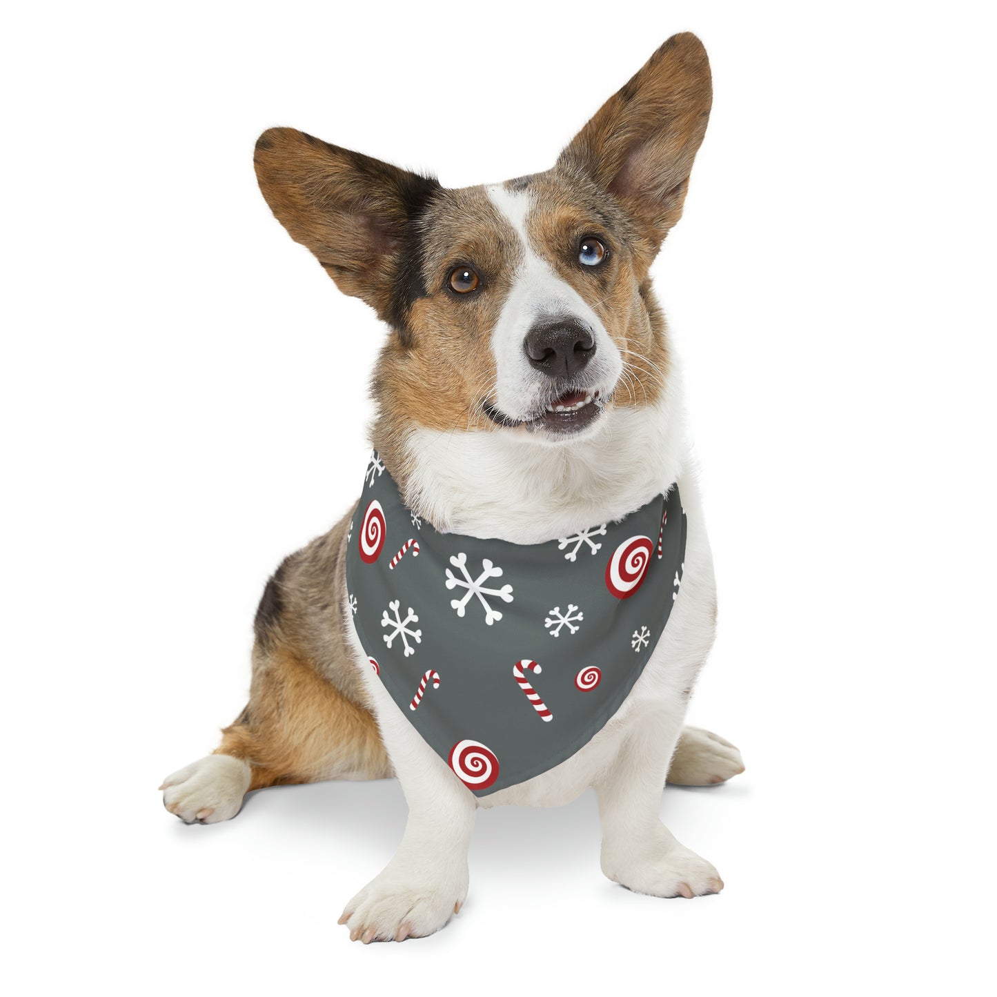 Candy Cane Collar Bandana ~ Charcoal