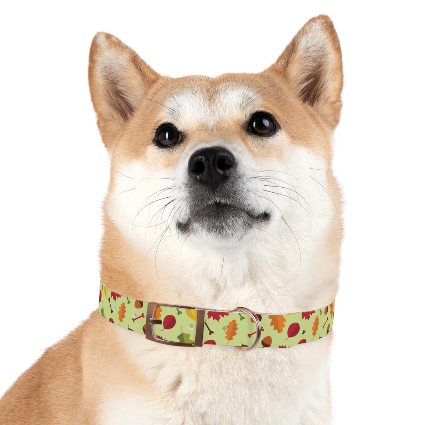 Color Me Fall Dog Collar