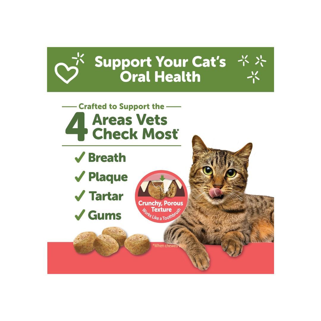 Whimzees Cat Dental Treat Chicken Salmon 2 oz