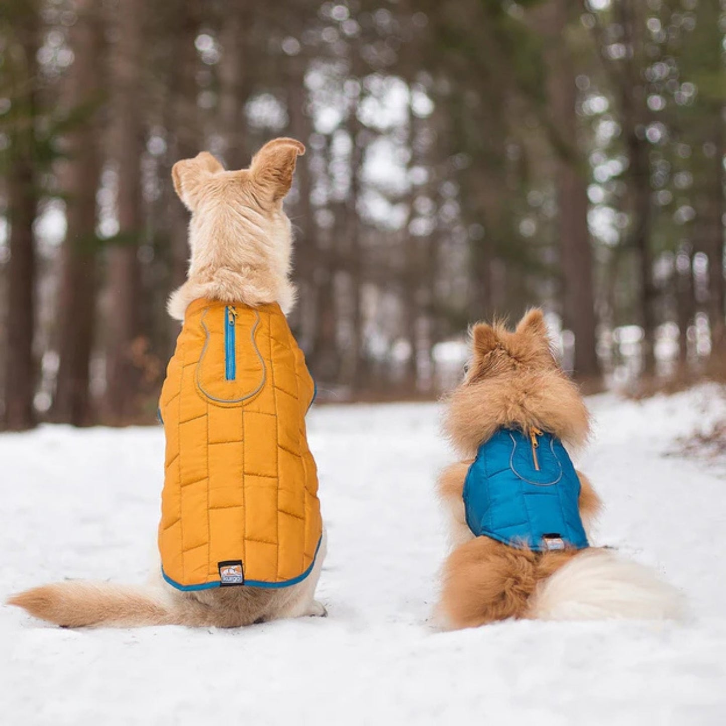 Kurgo Dog Jacket Loft Blue/Orange Large