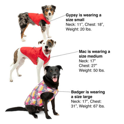 Kurgo Dog Jacket Loft Blue/Orange Large