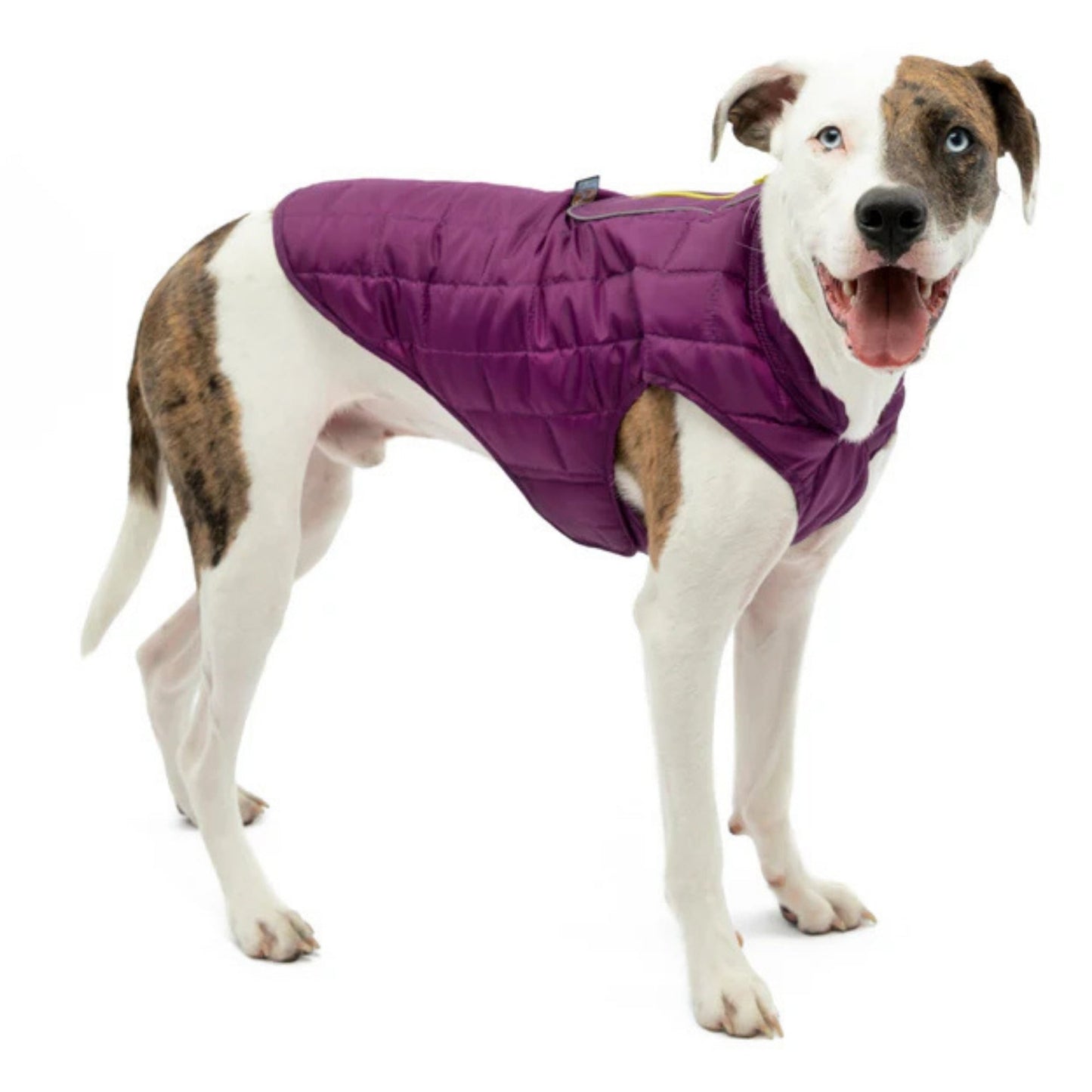 Kurgo Dog Loft Jacket Violet XSmall