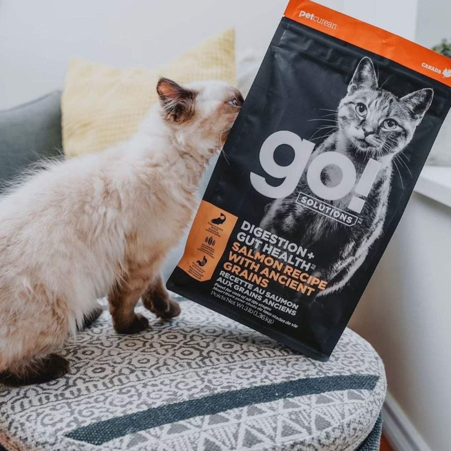 Go! Cat Digestion & Gut Health Salmon Ancient Grain 8Lb