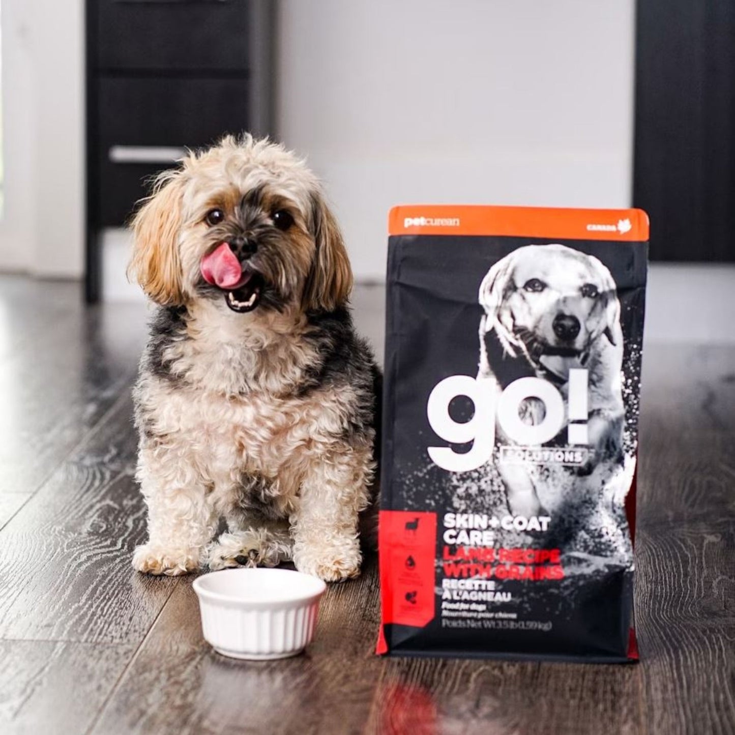 Go! Dog Skin & Coat Care Lamb With Grain 12Lb