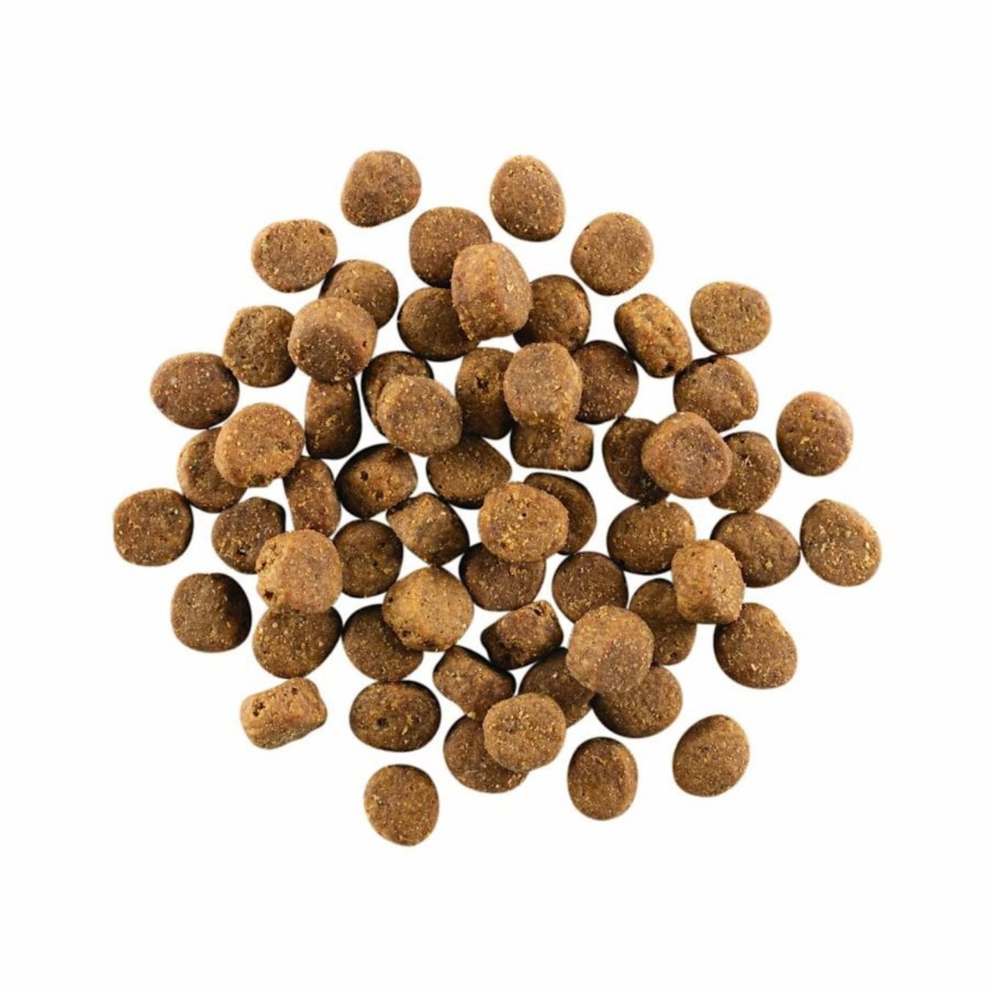Go! Dog Carnivore Grain Free Salmon & COD 22Lb