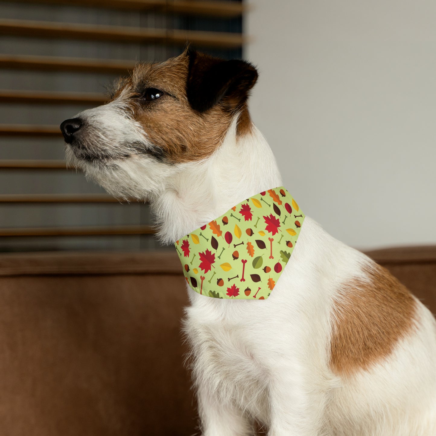 Collar Me Fall Bandana Collar