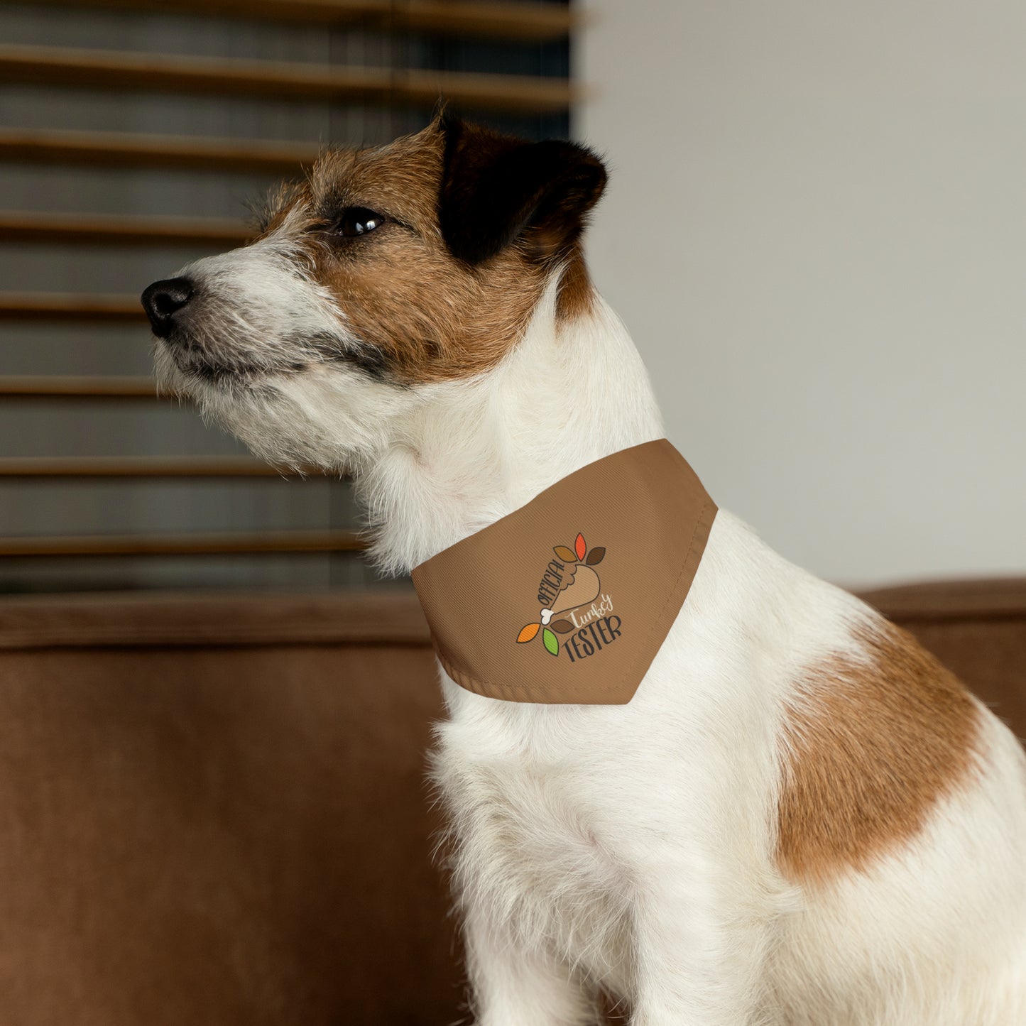 Official Turkey Tester Tan Pet Bandana Collar