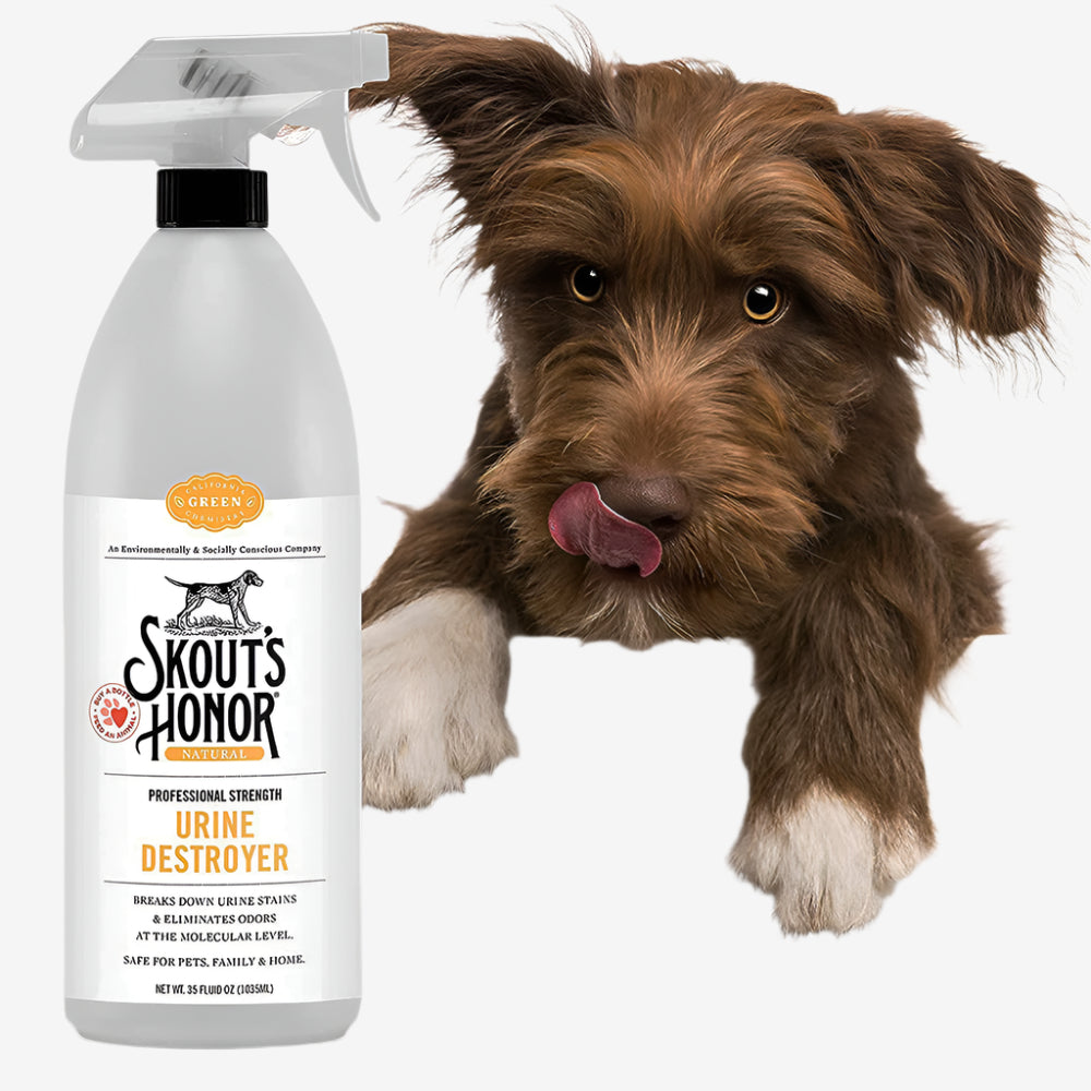 Skouts Honor Dog Urine Destroyer 1 Gallon
