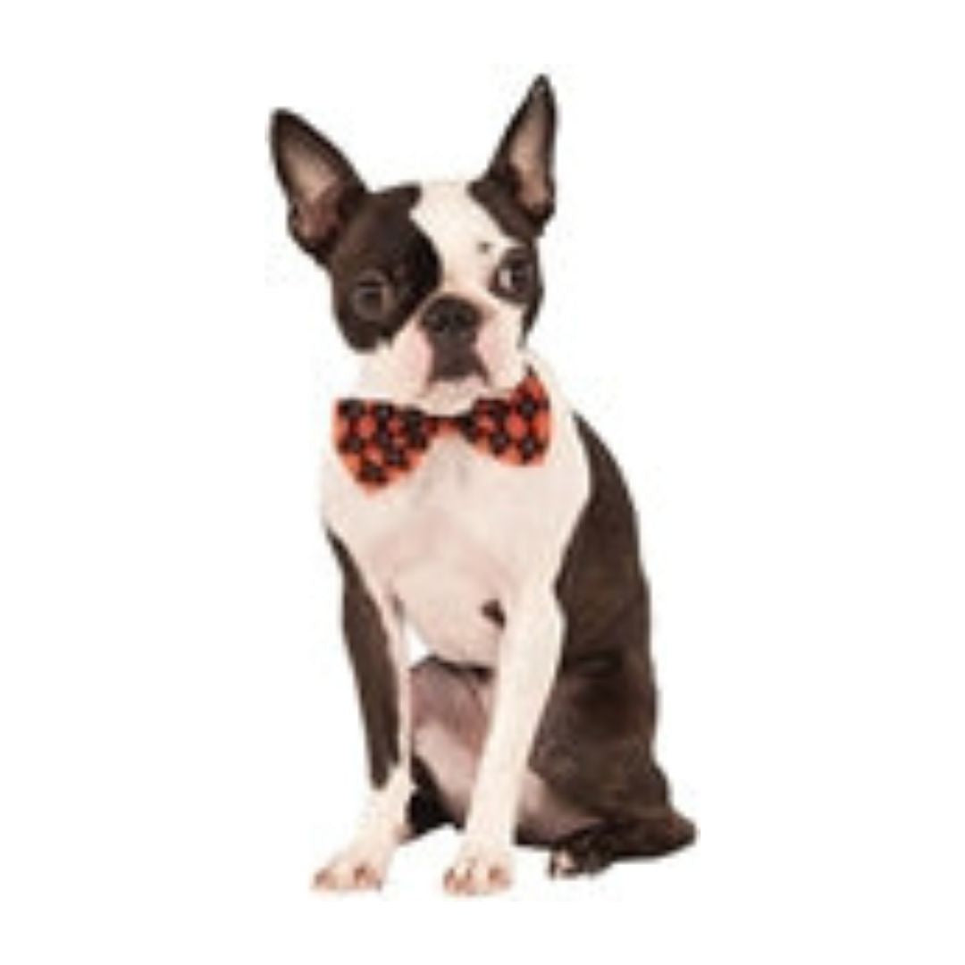 Rubies Halloween Argyle Bowtie M-L